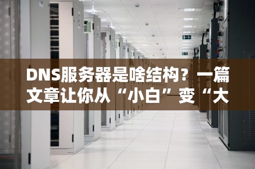 DNS服务器是啥结构？一篇文章让你从“小白”变“大神”！