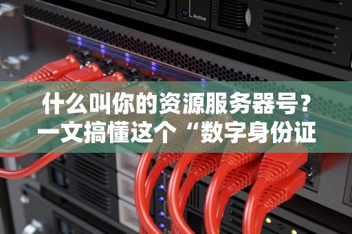 什么叫你的资源服务器号？一文搞懂这个“数字身份证”的奥秘！
