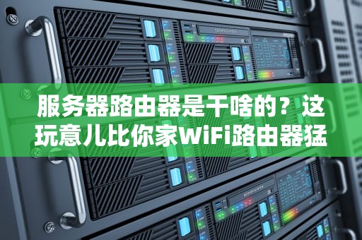 服务器路由器是干啥的？这玩意儿比你家WiFi路由器猛多了！