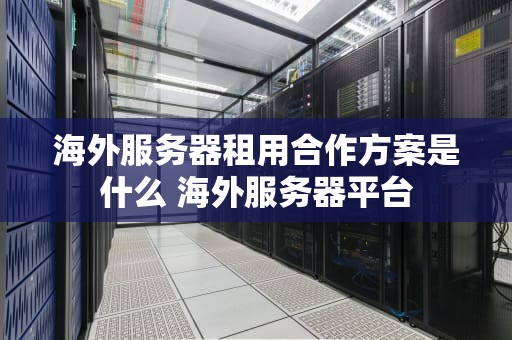 海外服务器租用合作方案是什么 海外服务器平台
