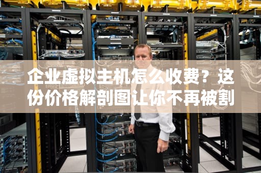企业虚拟主机怎么收费？这份价格解剖图让你不再被割韭菜！