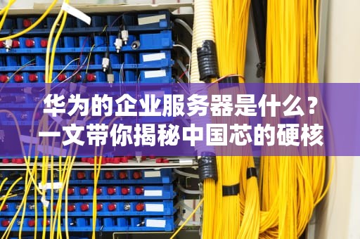 华为的企业服务器是什么？一文带你揭秘中国芯的硬核实力！