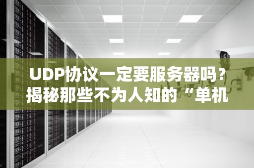 UDP协议一定要服务器吗？揭秘那些不为人知的“单机”骚操作！