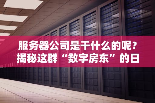 服务器公司是干什么的呢？揭秘这群“数字房东”的日常！