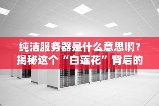 纯洁服务器是什么意思啊？揭秘这个“白莲花”背后的技术玄机！