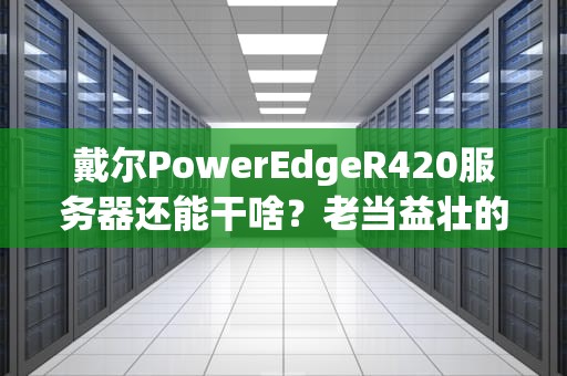 戴尔PowerEdgeR420服务器还能干啥？老当益壮的IT老黄牛使用指南