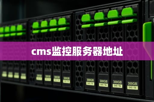 cms监控服务器地址