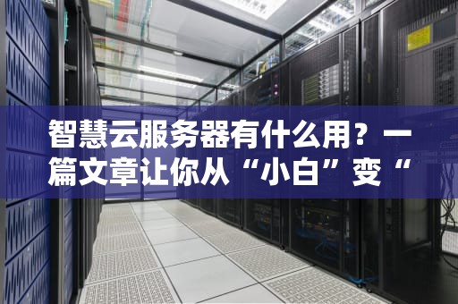 智慧云服务器有什么用？一篇文章让你从“小白”变“大神”！