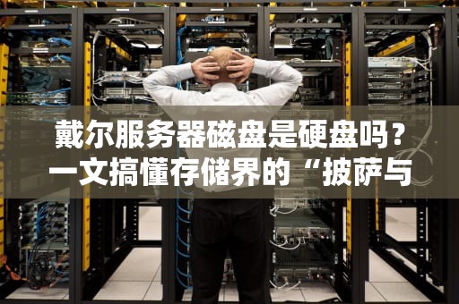 戴尔服务器磁盘是硬盘吗？一文搞懂存储界的“披萨与饼底”关系！