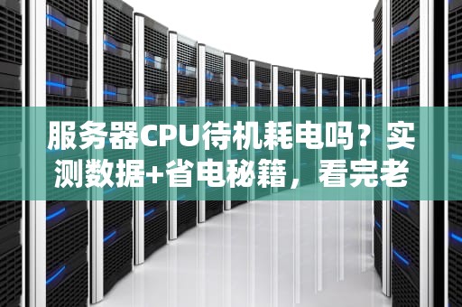 服务器CPU待机耗电吗？实测数据+省电秘籍，看完老板直呼内行！