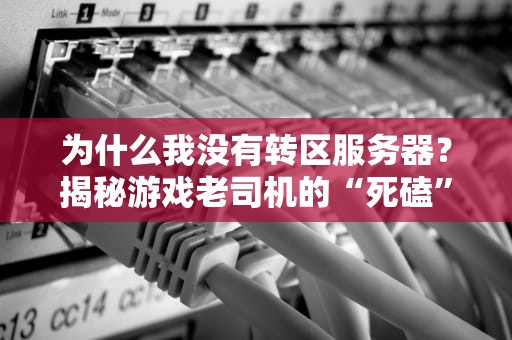 为什么我没有转区服务器？揭秘游戏老司机的“死磕”哲学