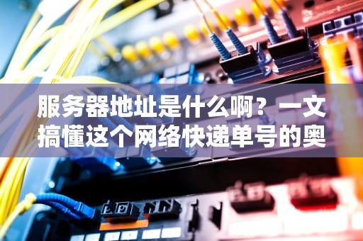 服务器地址是什么啊？一文搞懂这个网络快递单号的奥秘！