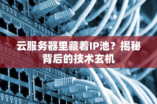 云服务器里藏着IP池？揭秘背后的技术玄机
