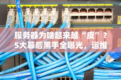 服务器为啥越来越“皮”？5大幕后黑手全曝光，运维小哥已哭晕！