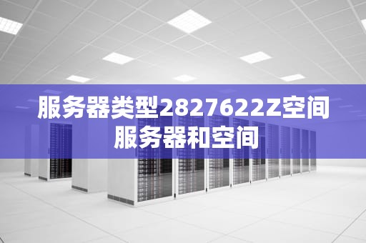 服务器类型2827622Z空间 服务器和空间