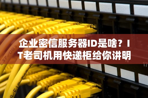 企业密信服务器ID是啥？IT老司机用快递柜给你讲明白！