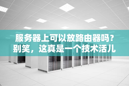 服务器上可以放路由器吗？别笑，这真是一个技术活儿！