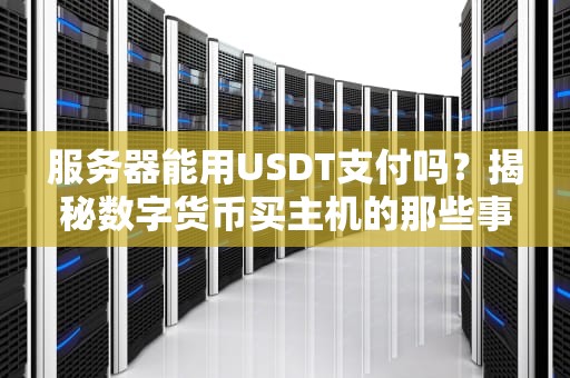 服务器能用USDT支付吗？揭秘数字货币买主机的那些事儿！