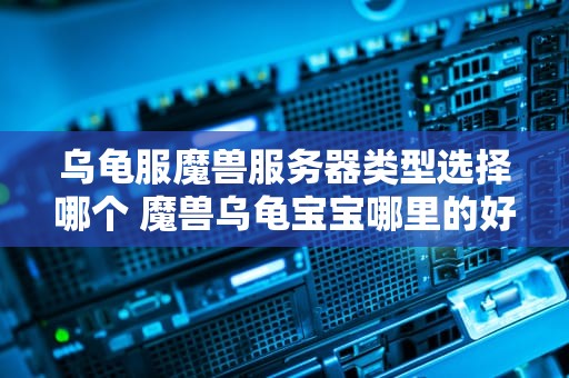 乌龟服魔兽服务器类型选择哪个 魔兽乌龟宝宝哪里的好