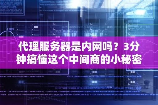 代理服务器是内网吗？3分钟搞懂这个中间商的小秘密！