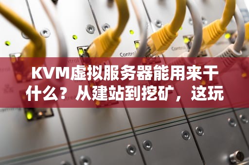 KVM虚拟服务器能用来干什么？从建站到挖矿，这玩意儿简直是个“万能工具箱”！