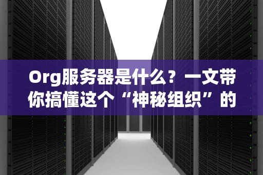 Org服务器是什么？一文带你搞懂这个“神秘组织”的服务器！