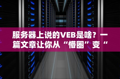 服务器上说的VEB是啥？一篇文章让你从“懵圈”变“懂王”！