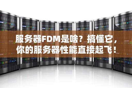 服务器FDM是啥？搞懂它，你的服务器性能直接起飞！