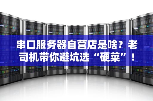 串口服务器自营店是啥？老司机带你避坑选“硬菜”！