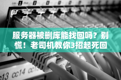 服务器被删库能找回吗？别慌！老司机教你3招起死回生术
