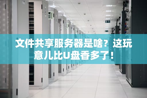 文件共享服务器是啥？这玩意儿比U盘香多了！