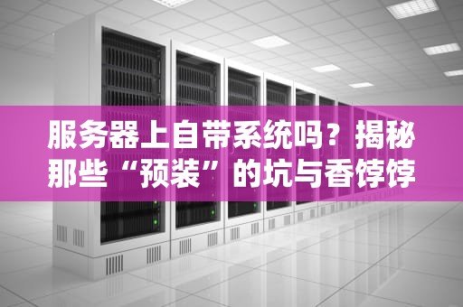 服务器上自带系统吗？揭秘那些“预装”的坑与香饽饽！