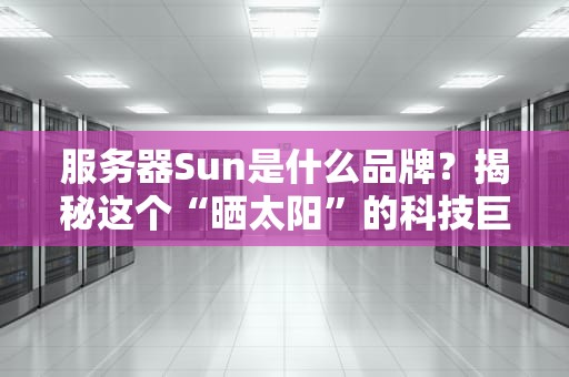 服务器Sun是什么品牌？揭秘这个“晒太阳”的科技巨头！