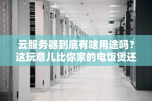 云服务器到底有啥用途吗？这玩意儿比你家的电饭煲还万能！