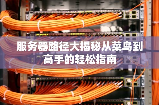 服务器路径大揭秘从菜鸟到高手的轻松指南