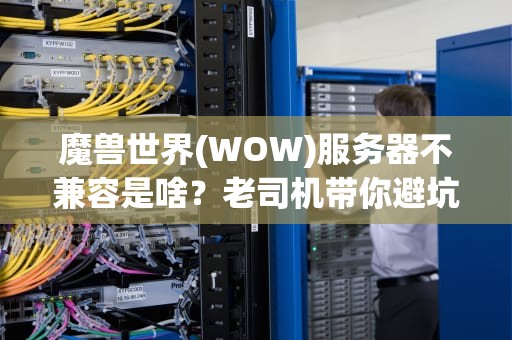 魔兽世界(WOW)服务器不兼容是啥？老司机带你避坑不翻车！
