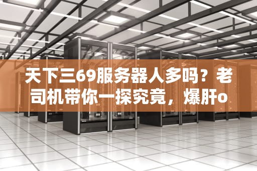 天下三69服务器人多吗？老司机带你一探究竟，爆肝or养老？