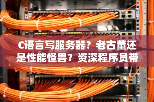 C语言写服务器？老古董还是性能怪兽？资深程序员带你一探究竟！