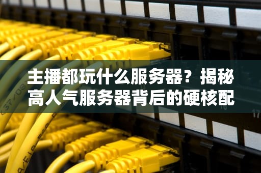 主播都玩什么服务器？揭秘高人气服务器背后的硬核配置！