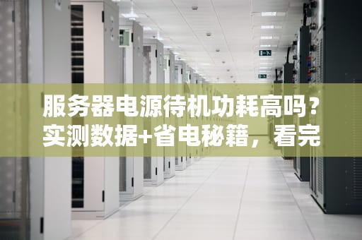 服务器电源待机功耗高吗？实测数据+省电秘籍，看完老板直呼内行！