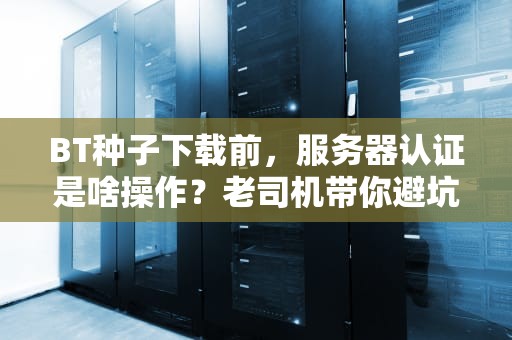 BT种子下载前，服务器认证是啥操作？老司机带你避坑！