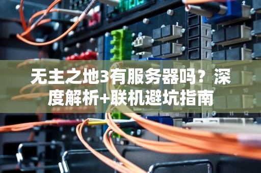 无主之地3有服务器吗？深度解析+联机避坑指南