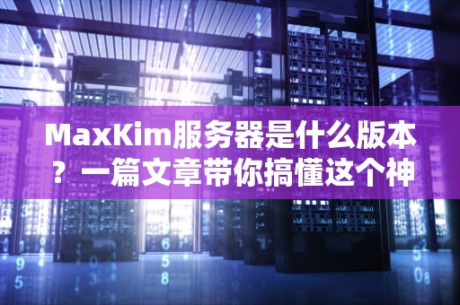 MaxKim服务器是什么版本？一篇文章带你搞懂这个神秘“版本控”