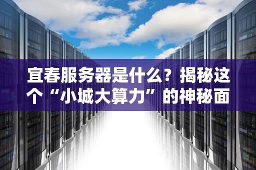 宜春服务器是什么？揭秘这个“小城大算力”的神秘面纱！