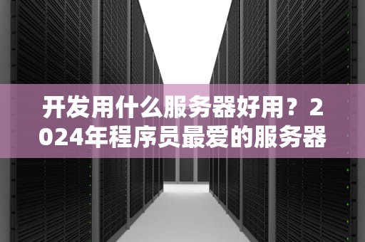 开发用什么服务器好用？2024年程序员最爱的服务器推荐清单！