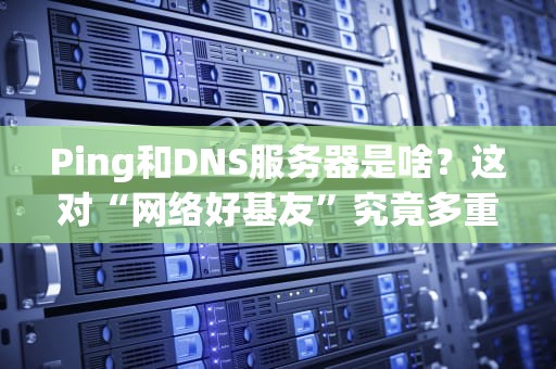 Ping和DNS服务器是啥？这对“网络好基友”究竟多重要？