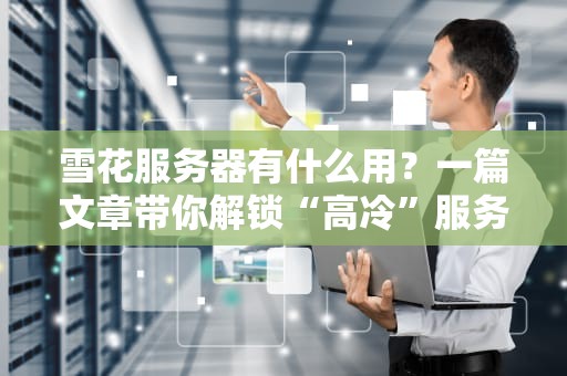 雪花服务器有什么用？一篇文章带你解锁“高冷”服务器的隐藏技能！