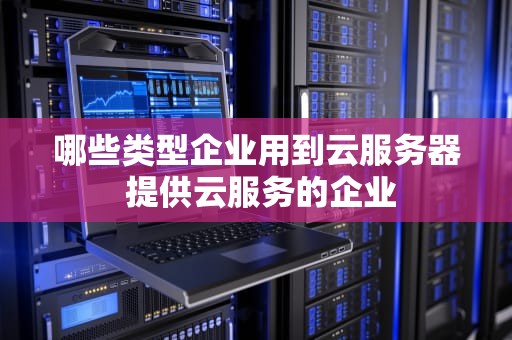 哪些类型企业用到云服务器 提供云服务的企业