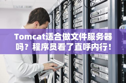 Tomcat适合做文件服务器吗？程序员看了直呼内行！