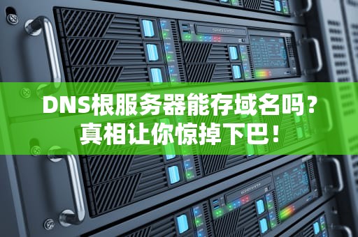 DNS根服务器能存域名吗？真相让你惊掉下巴！
